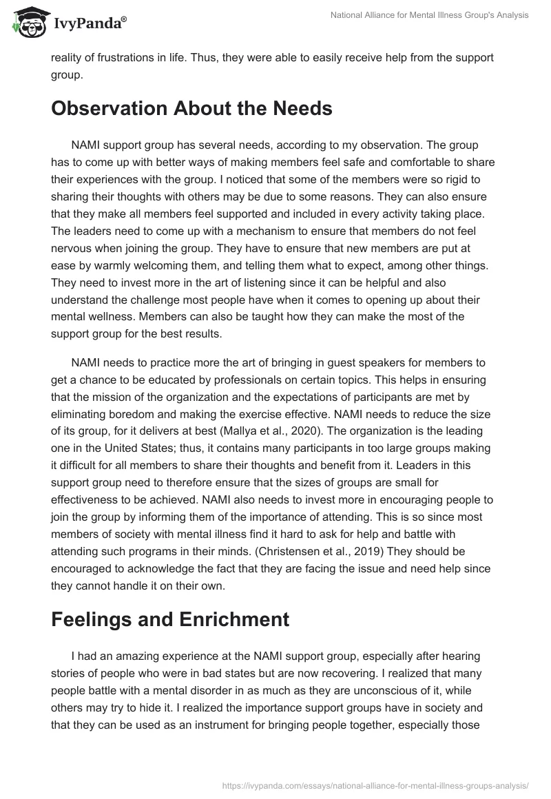 National Alliance for Mental Illness Group's Analysis. Page 3