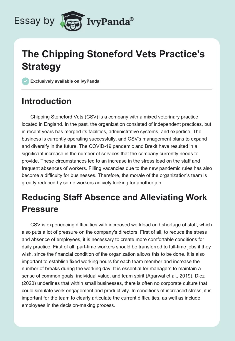 The Chipping Stoneford Vets Practice's Strategy. Page 1