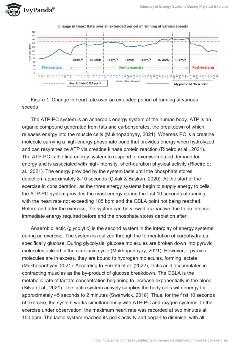 Interplay of Energy Systems During Physical Exercise. Page 2