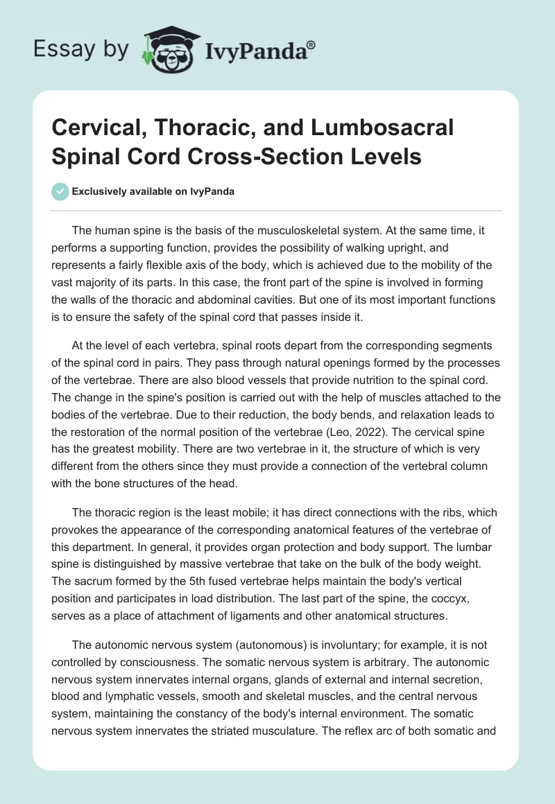 Cervical, Thoracic, and Lumbosacral Spinal Cord Cross-Section Levels. Page 1