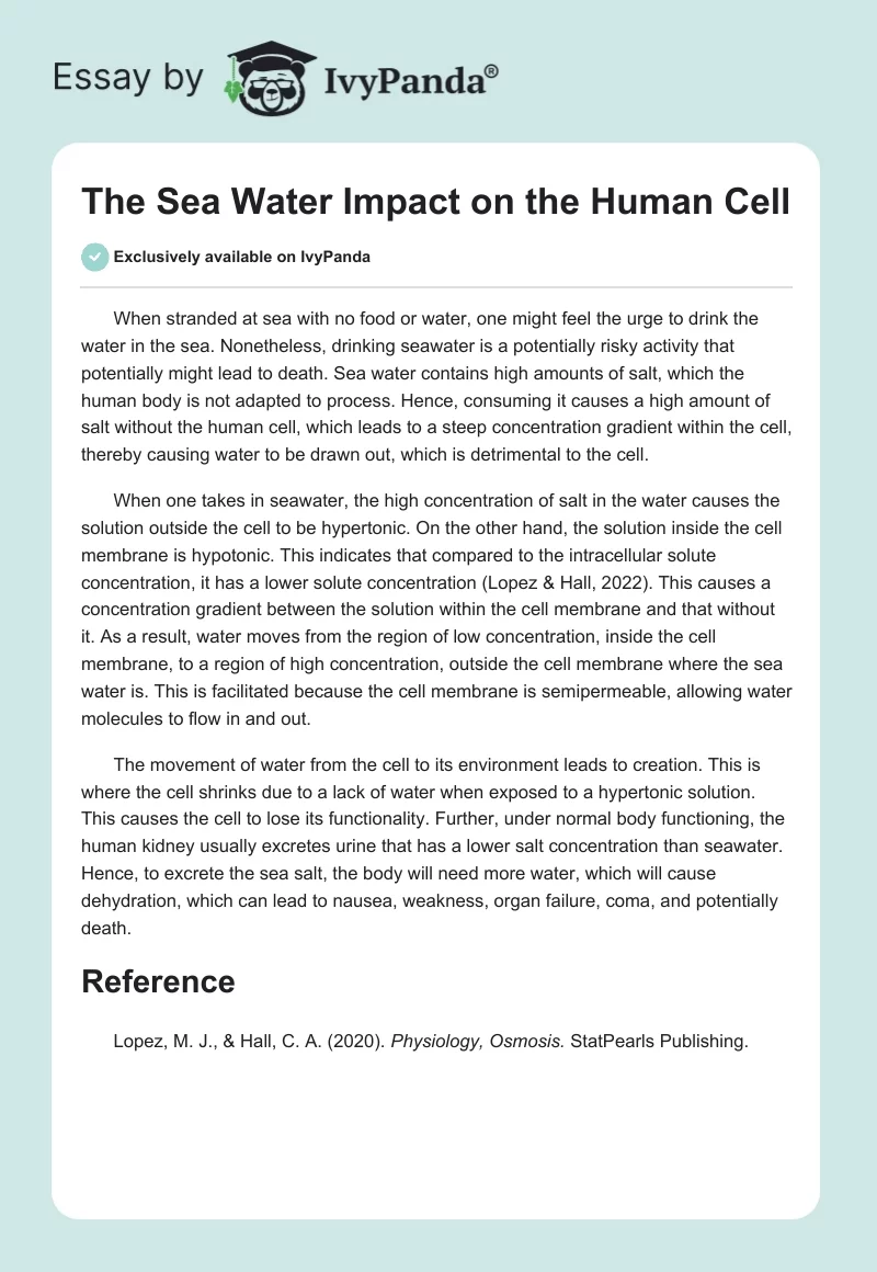 The Sea Water Impact on the Human Cell. Page 1