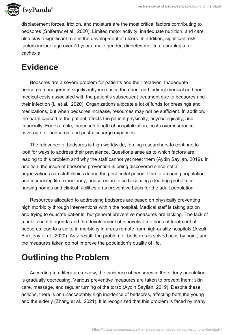 The Relevance of Bedsores: Background to the Study. Page 2