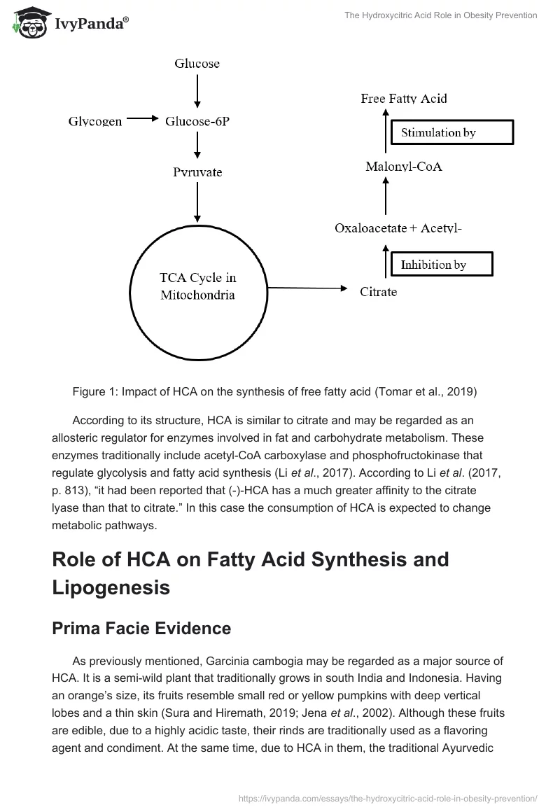 The Hydroxycitric Acid Role in Obesity Prevention. Page 3