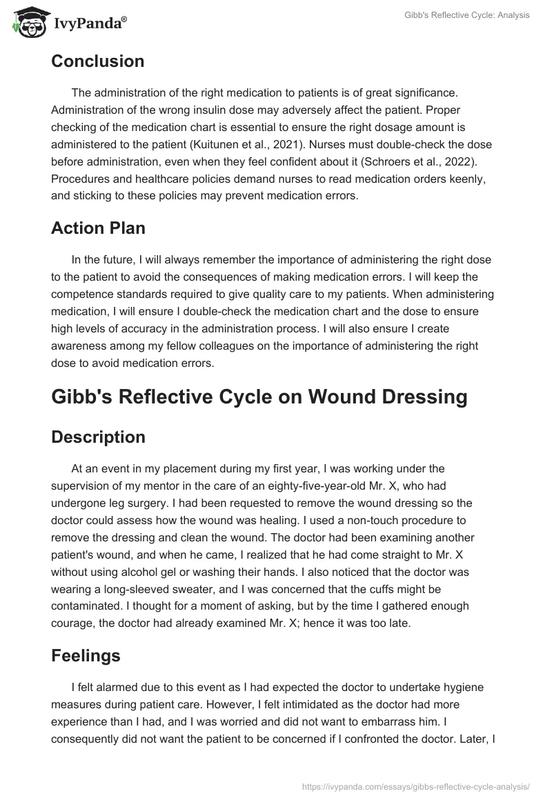 Gibb's Reflective Cycle: Analysis. Page 4