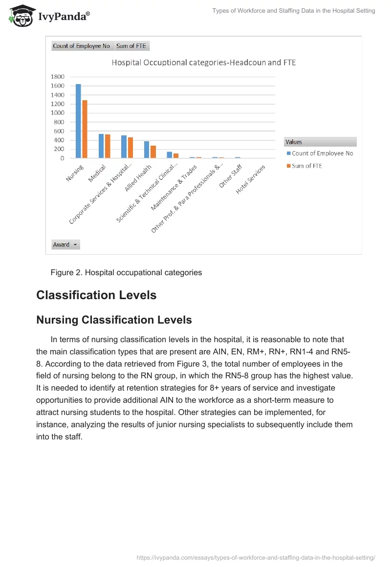 Types of Workforce and Staffing Data in the Hospital Setting. Page 3