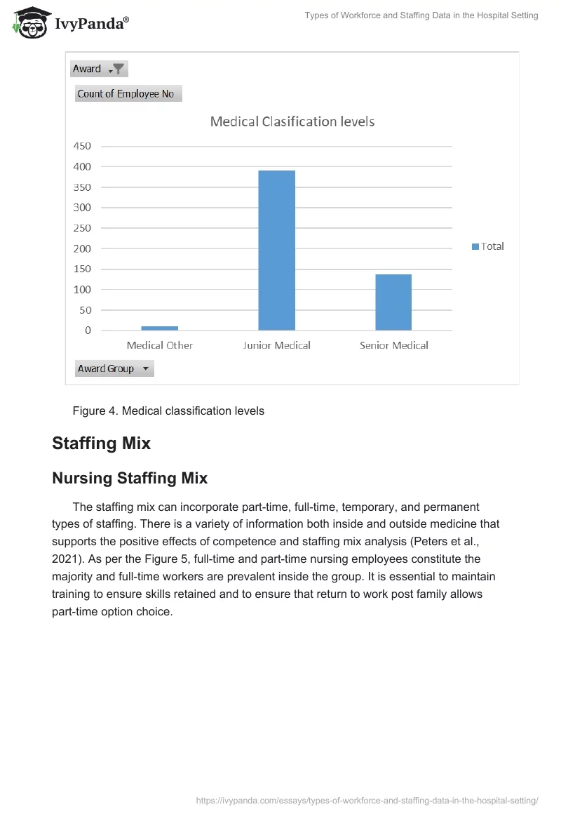 Types of Workforce and Staffing Data in the Hospital Setting. Page 5