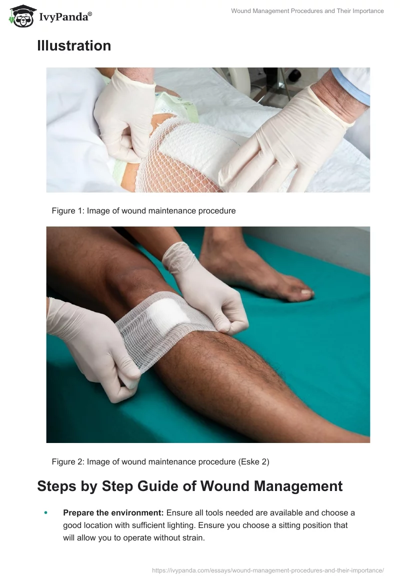 Wound Management Procedures and Their Importance. Page 2