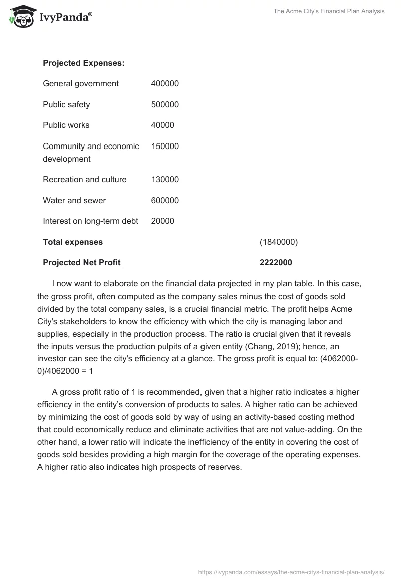 The Acme City's Financial Plan Analysis. Page 3