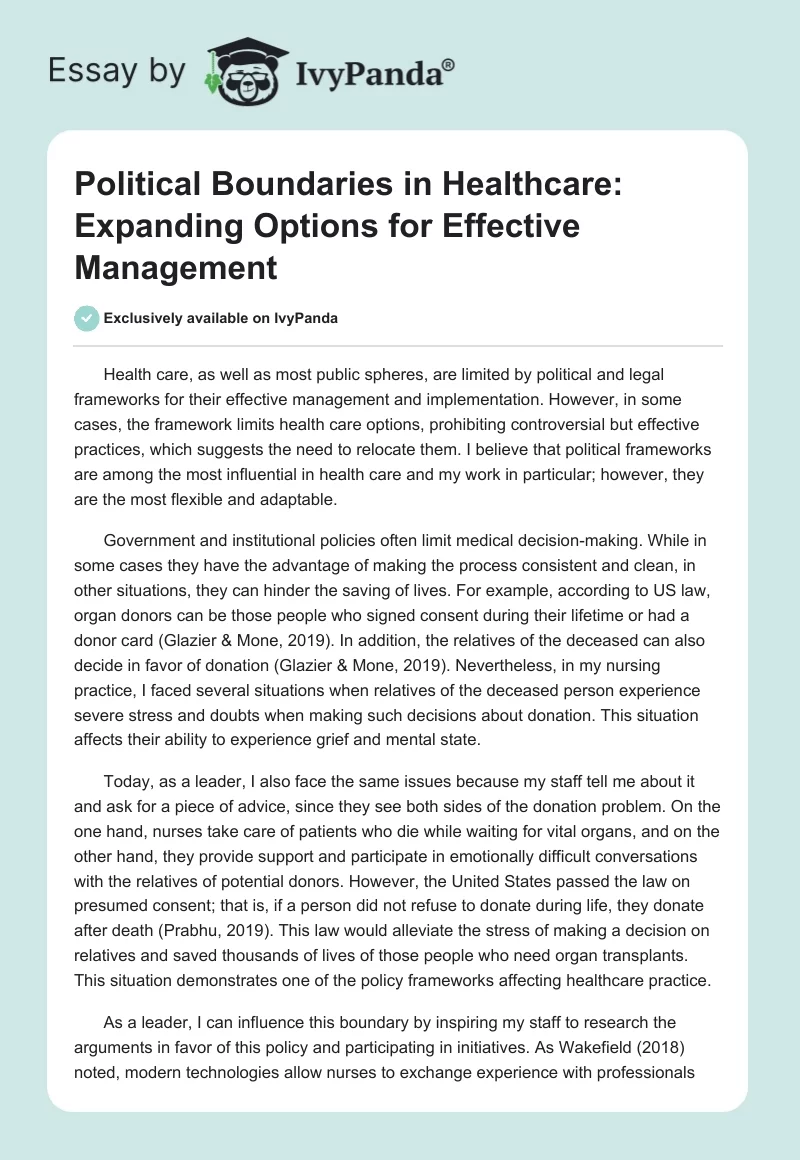 Political Boundaries in Healthcare: Expanding Options for Effective Management. Page 1
