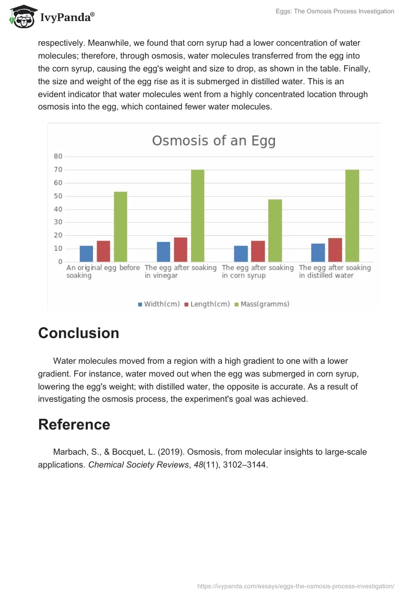 Eggs: The Osmosis Process Investigation. Page 2
