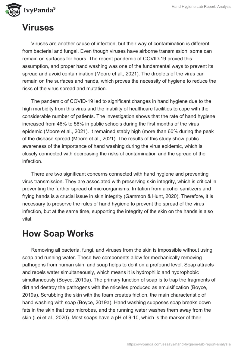 Hand Hygiene Lab Report: Analysis. Page 3