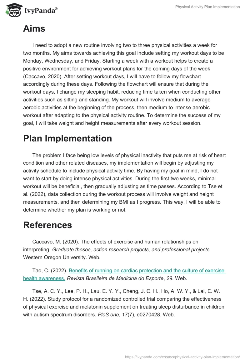 Physical Activity Plan Implementation. Page 4