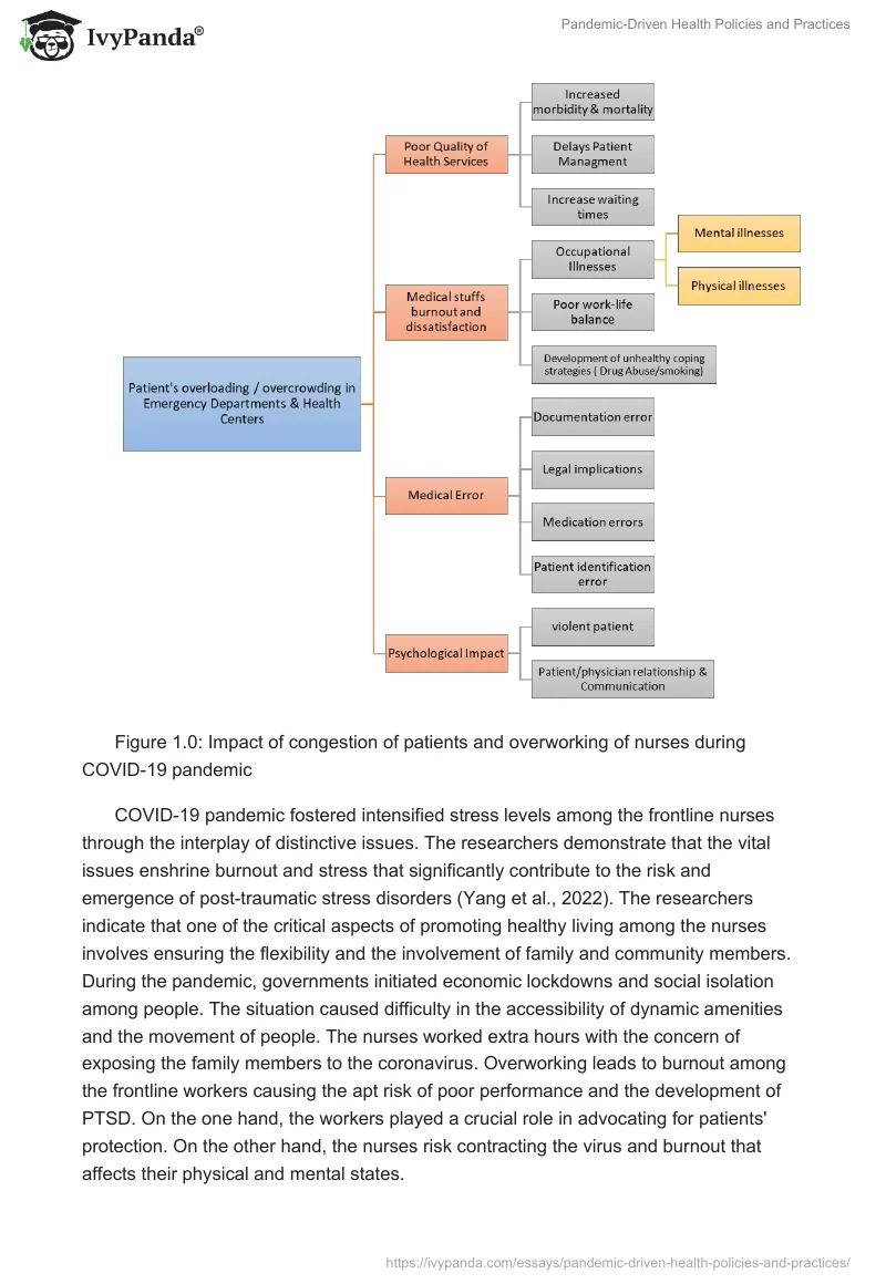 Pandemic-Driven Health Policies and Practices. Page 3