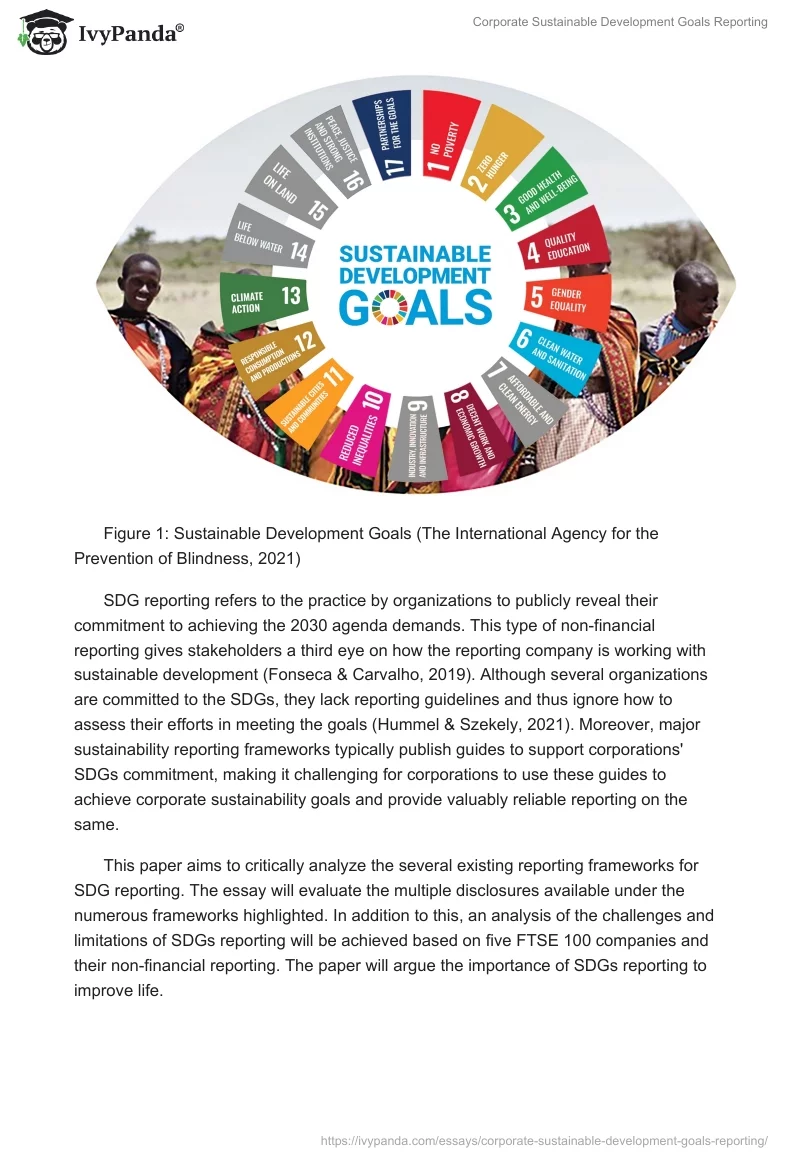 Corporate Sustainable Development Goals Reporting. Page 2