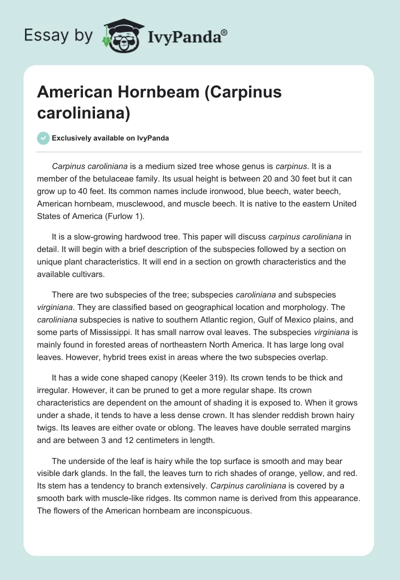 American Hornbeam (Carpinus caroliniana). Page 1