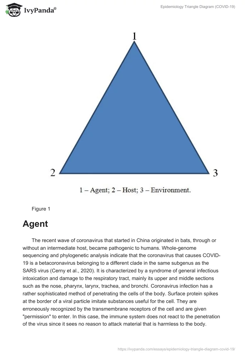 Epidemiology Triangle Diagram (COVID-19). Page 2