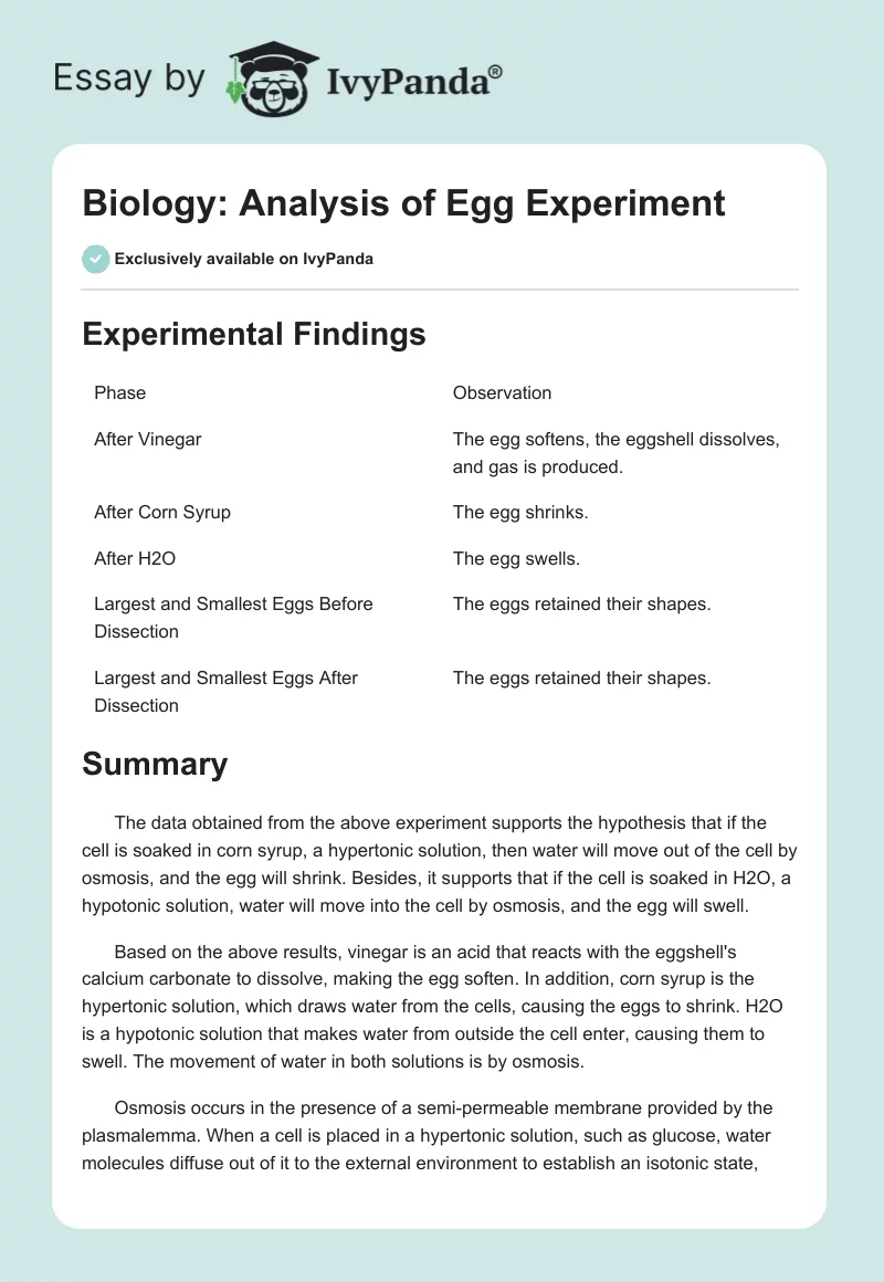 Biology: Analysis of Egg Experiment. Page 1