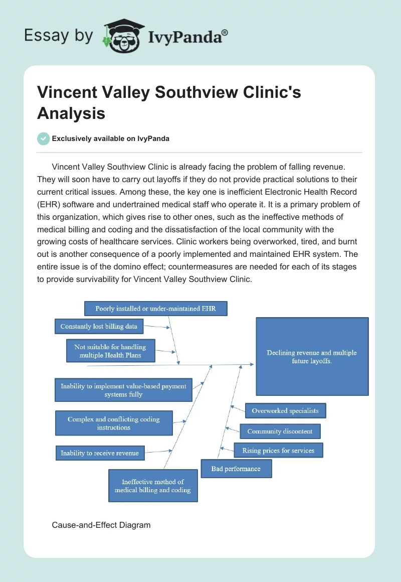 Vincent Valley Southview Clinic's Analysis. Page 1