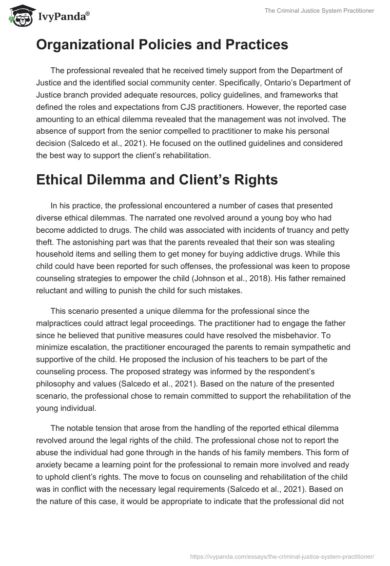 The Criminal Justice System Practitioner. Page 2