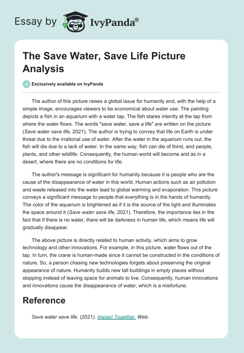 The Save Water, Save Life Picture Analysis. Page 1