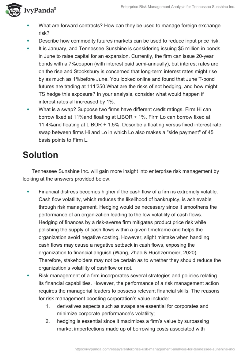 Enterprise Risk Management Analysis for Tennessee Sunshine Inc.. Page 2
