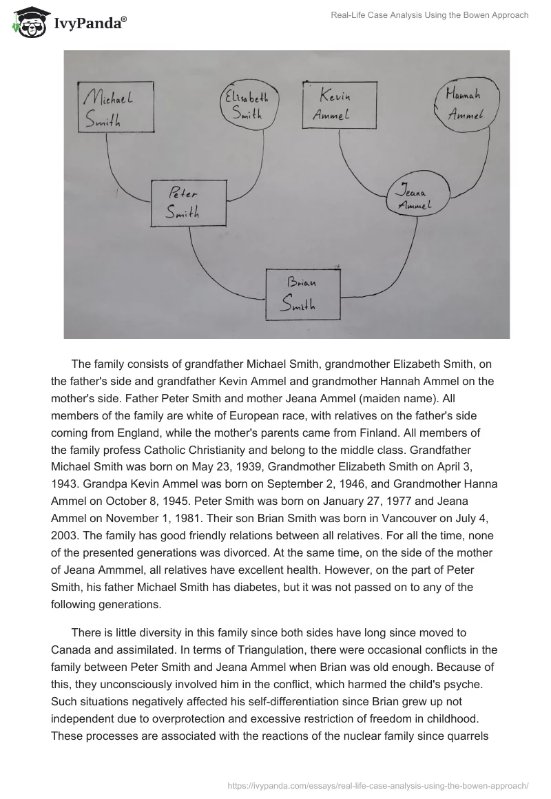 Real-Life Case Analysis Using the Bowen Approach. Page 4