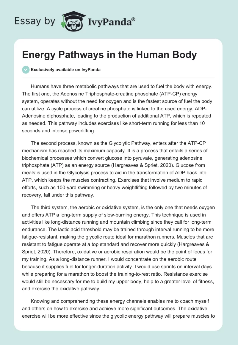 Energy Pathways in the Human Body. Page 1