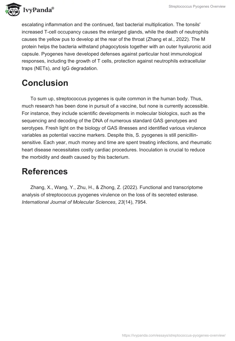 Streptococcus Pyogenes Overview. Page 3