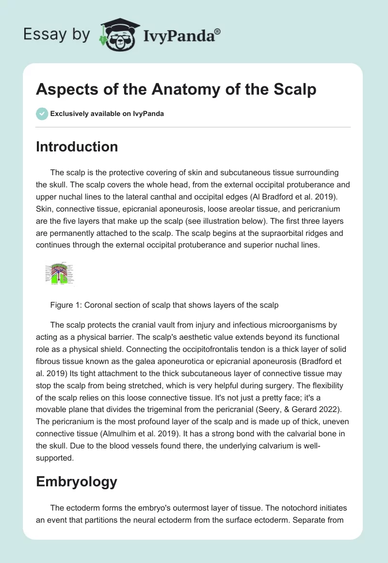 Aspects of the Anatomy of the Scalp. Page 1