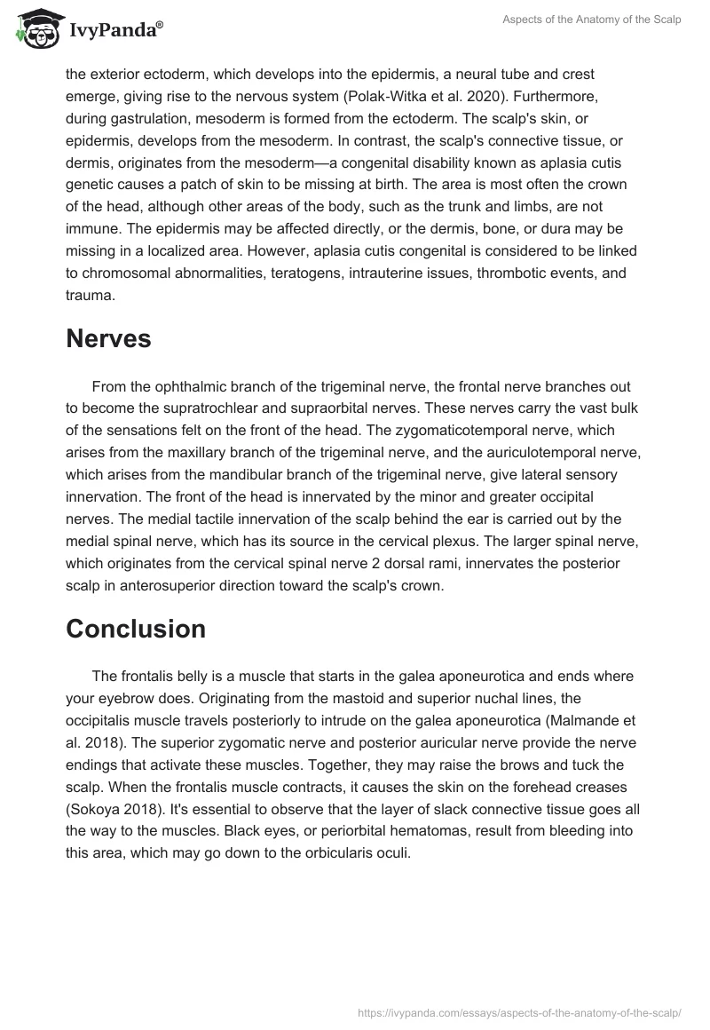 Aspects of the Anatomy of the Scalp. Page 2