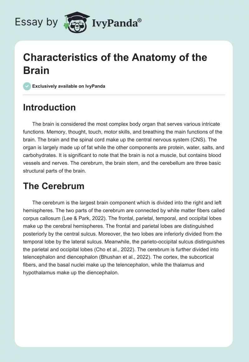 Characteristics of the Anatomy of the Brain. Page 1