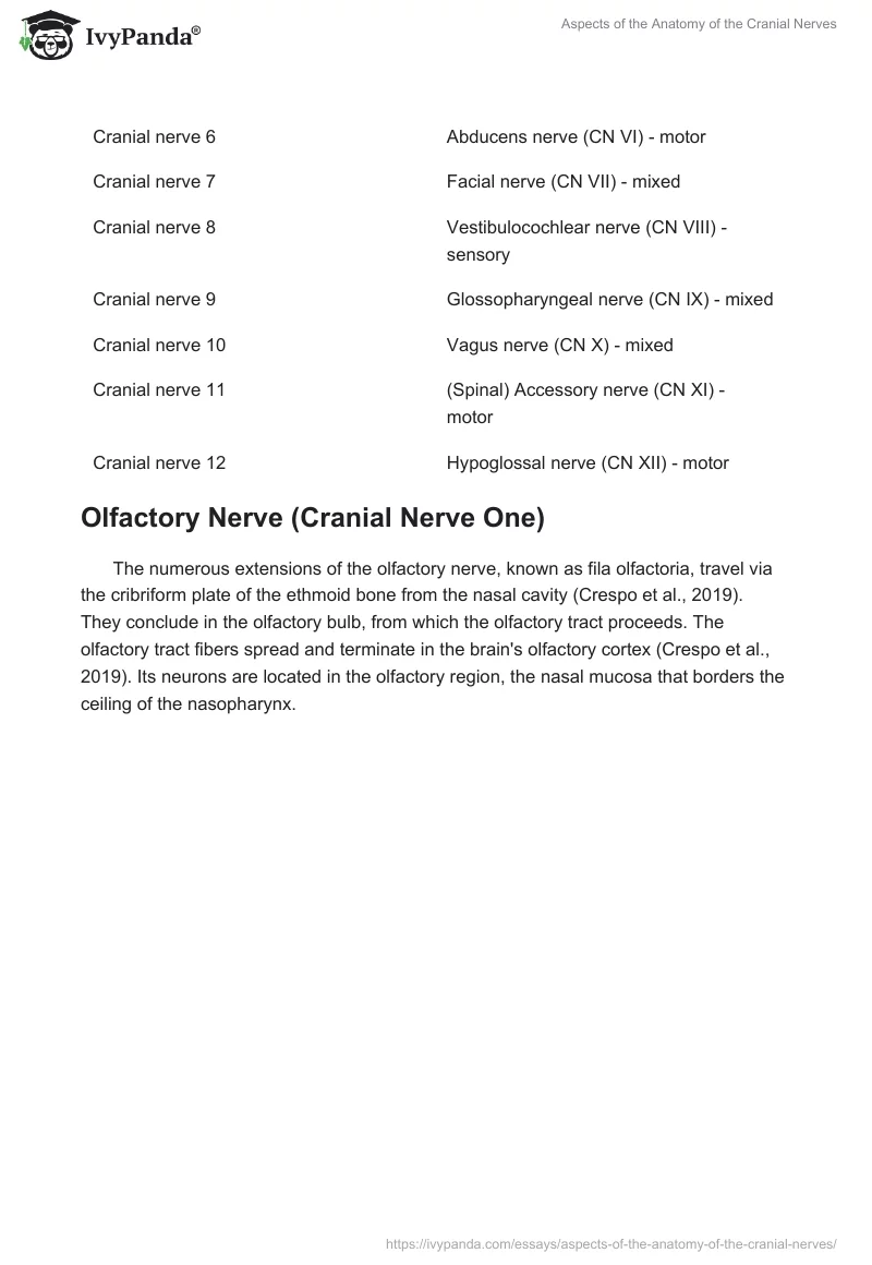 Aspects of the Anatomy of the Cranial Nerves. Page 2