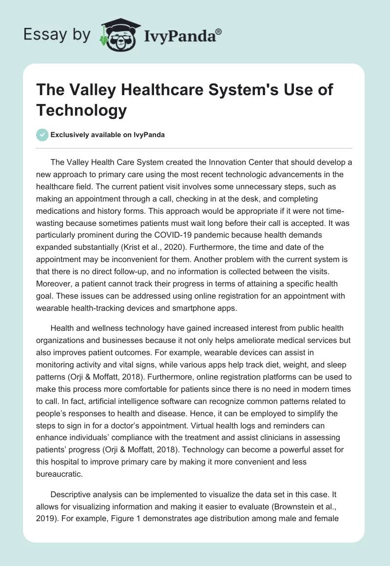 The Valley Healthcare System's Use of Technology. Page 1
