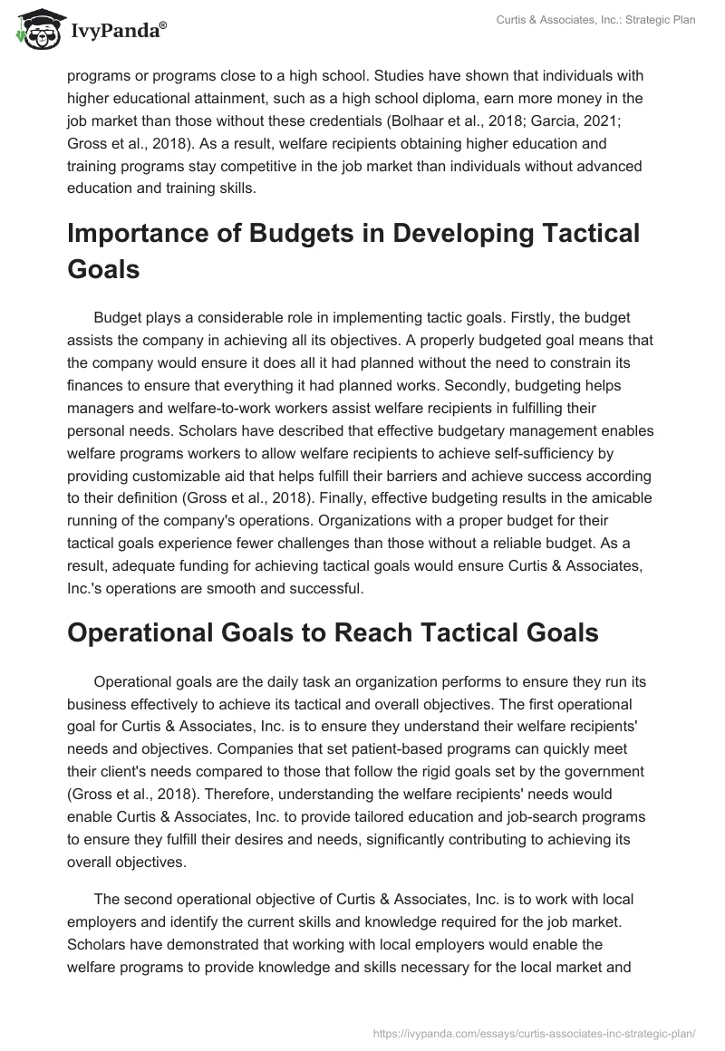 Curtis & Associates, Inc.: Strategic Plan. Page 3