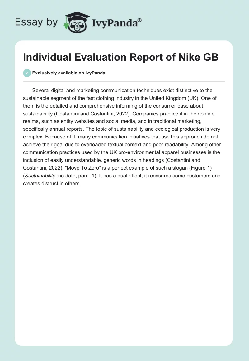 Individual Evaluation Report of Nike GB. Page 1