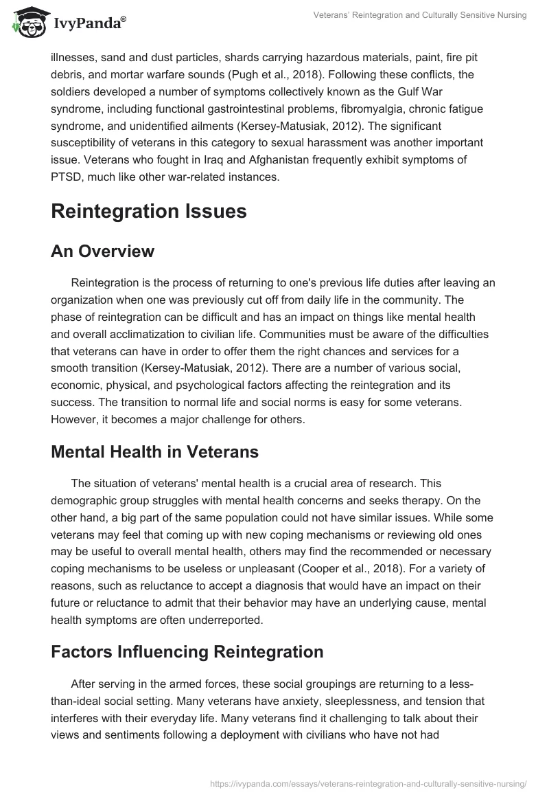 Veterans’ Reintegration and Culturally Sensitive Nursing. Page 3