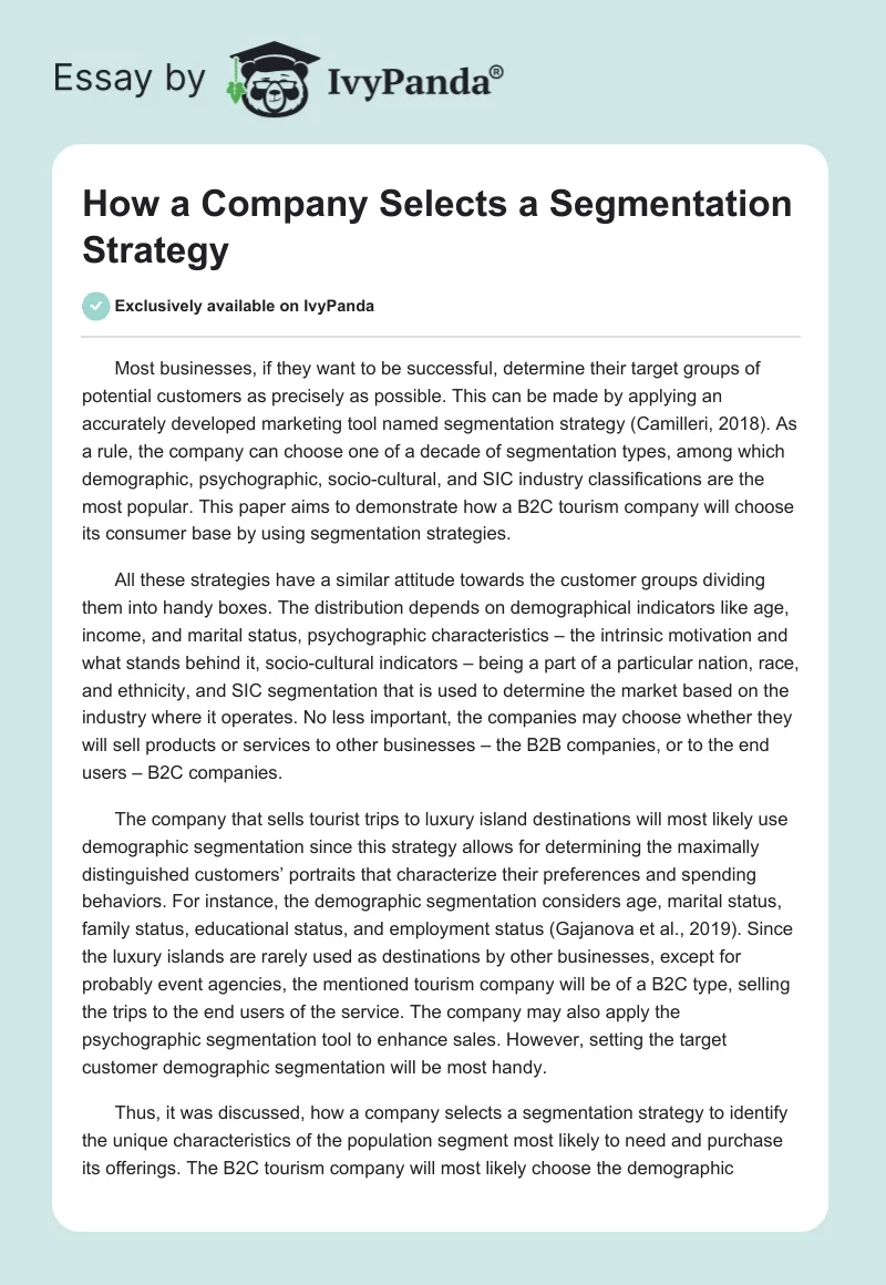 How a Company Selects a Segmentation Strategy. Page 1