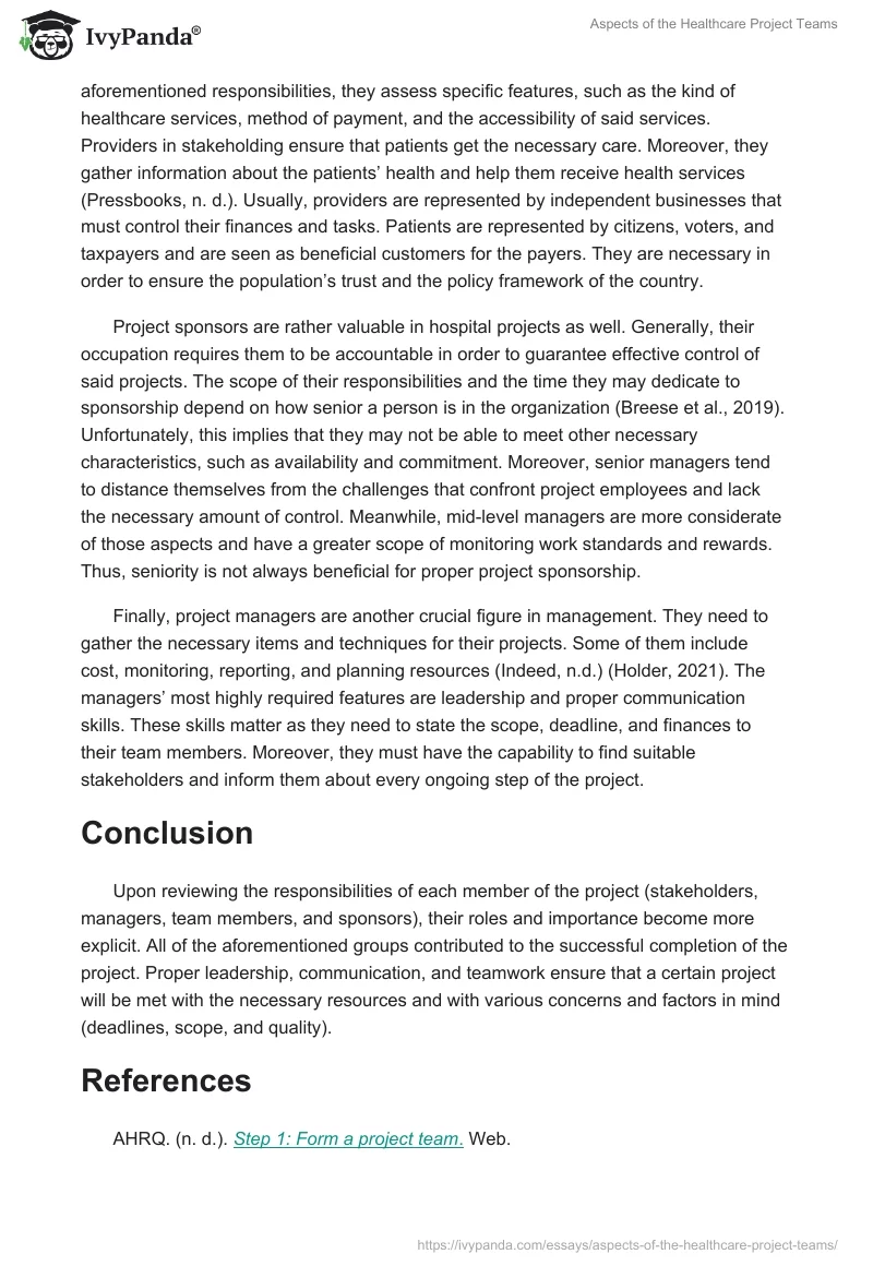 Aspects of the Healthcare Project Teams. Page 2