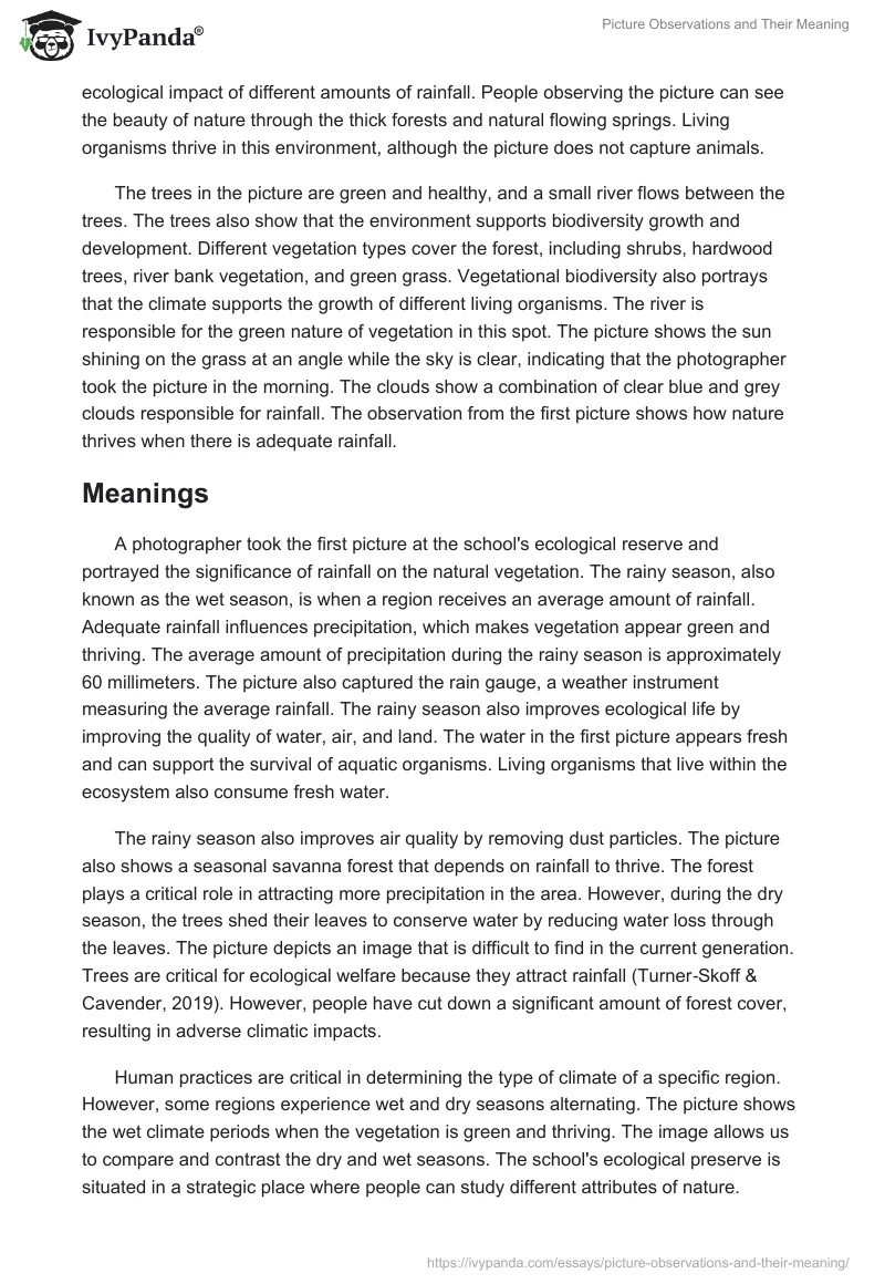 Picture Observations and Their Meaning. Page 2
