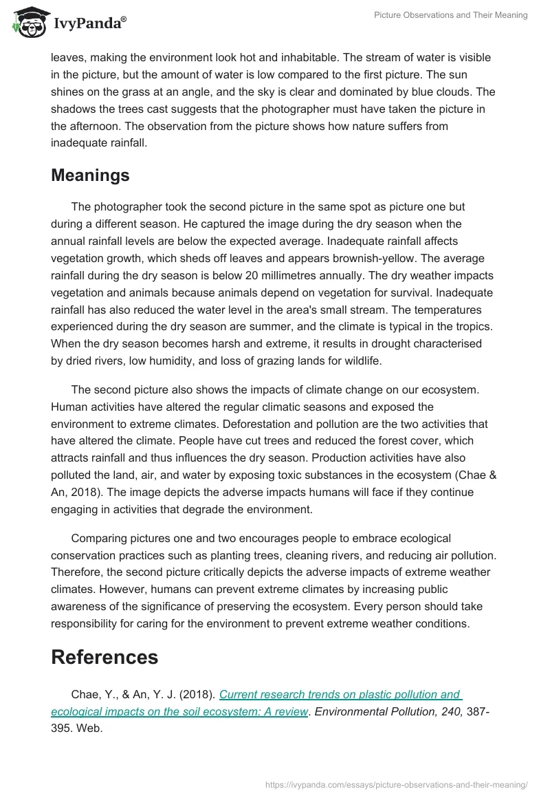Picture Observations and Their Meaning. Page 4