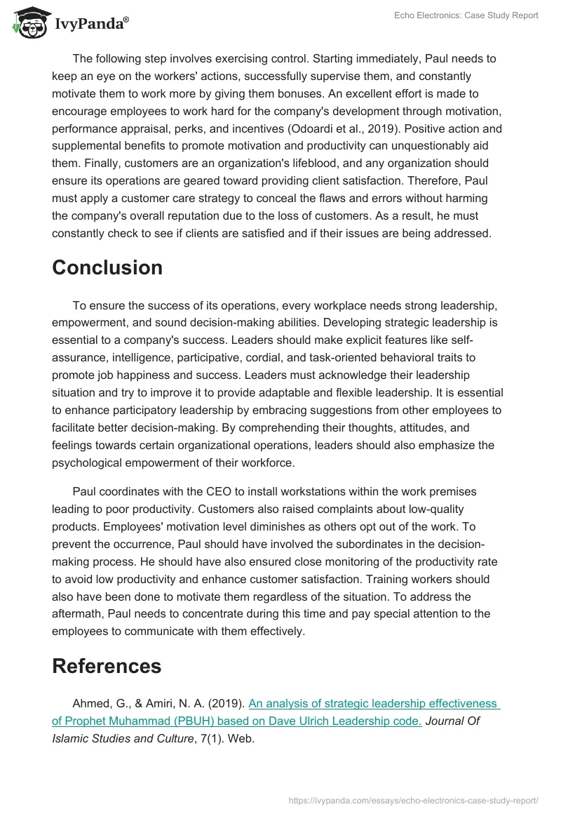 Echo Electronics: Case Study Report. Page 4