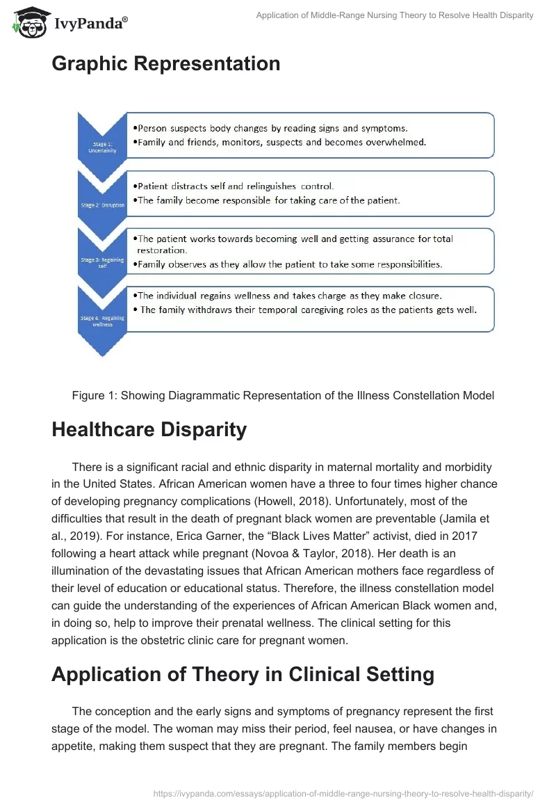 Application of Middle-Range Nursing Theory to Resolve Health Disparity. Page 3