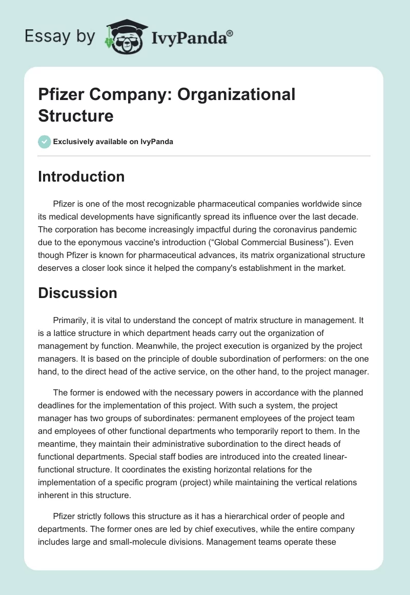 Pfizer Company: Organizational Structure. Page 1