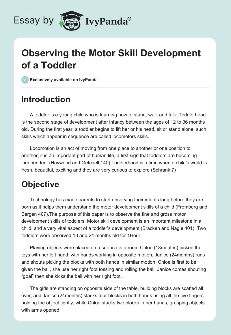Observing the Motor Skill Development of a Toddler. Page 1