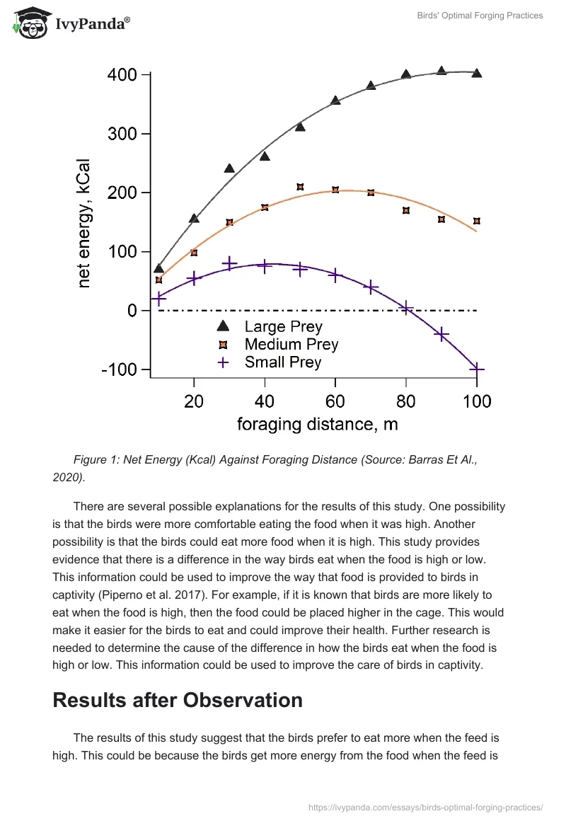 Birds' Optimal Forging Practices. Page 3