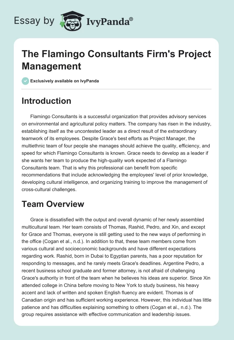The Flamingo Consultants Firm's Project Management. Page 1