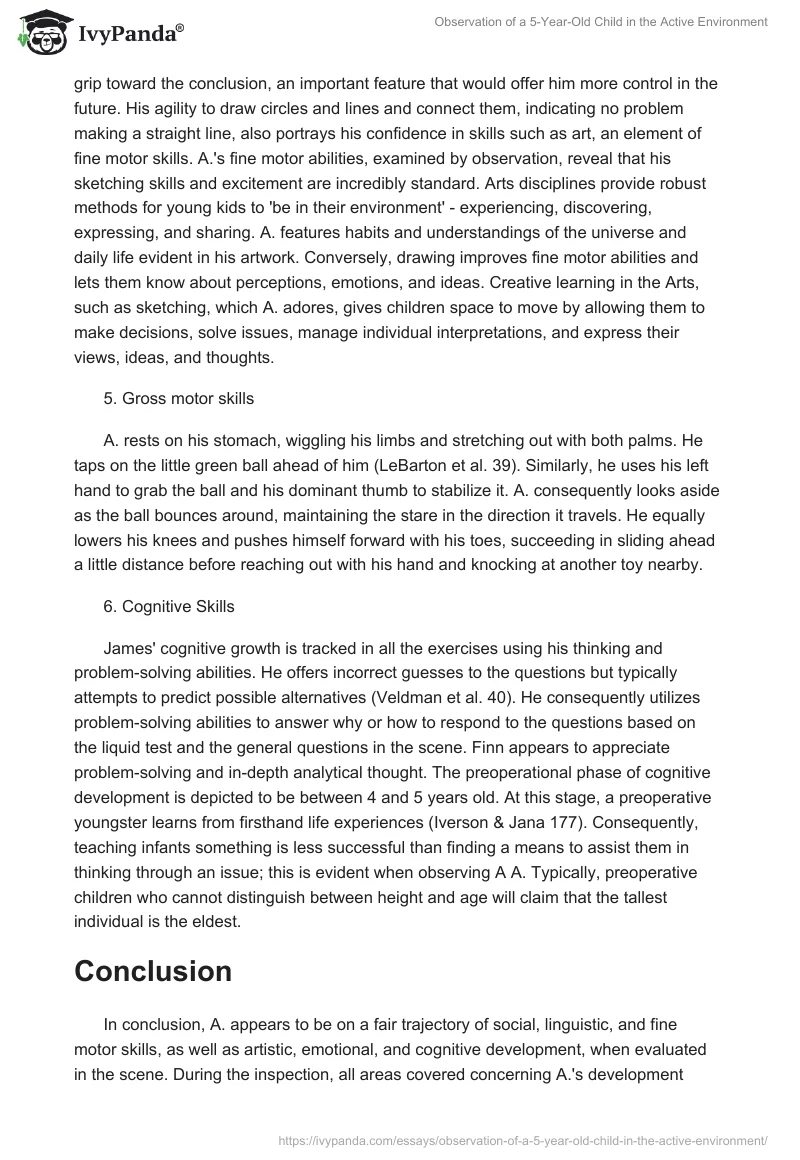 Observation of a 5-Year-Old Child in the Active Environment. Page 5