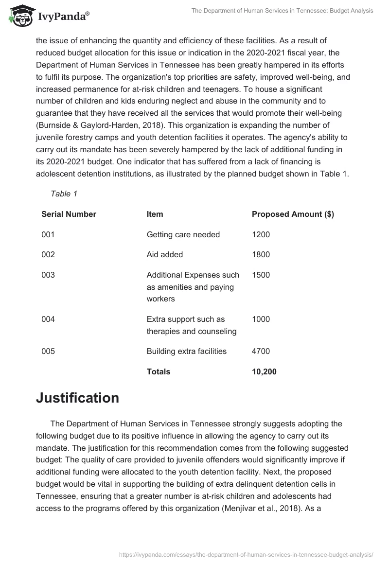 The Department of Human Services in Tennessee: Budget Analysis. Page 3