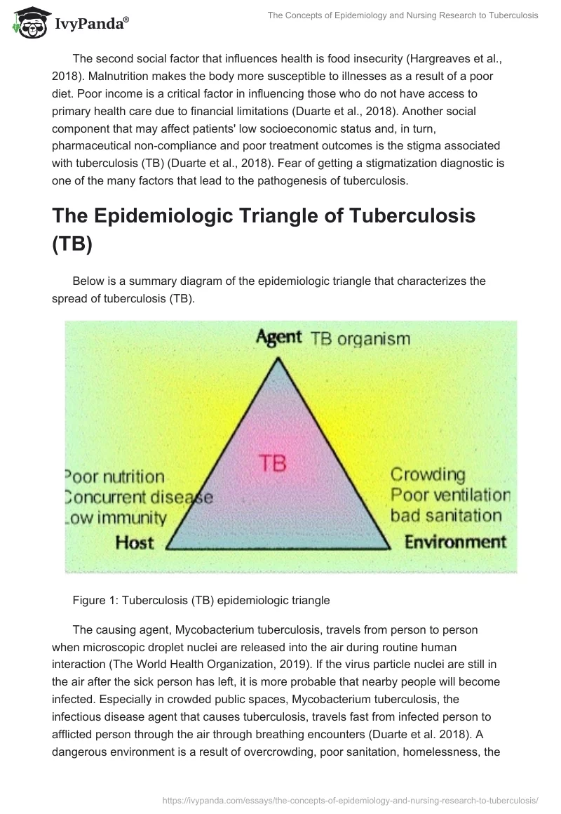 The Concepts of Epidemiology and Nursing Research to Tuberculosis. Page 4