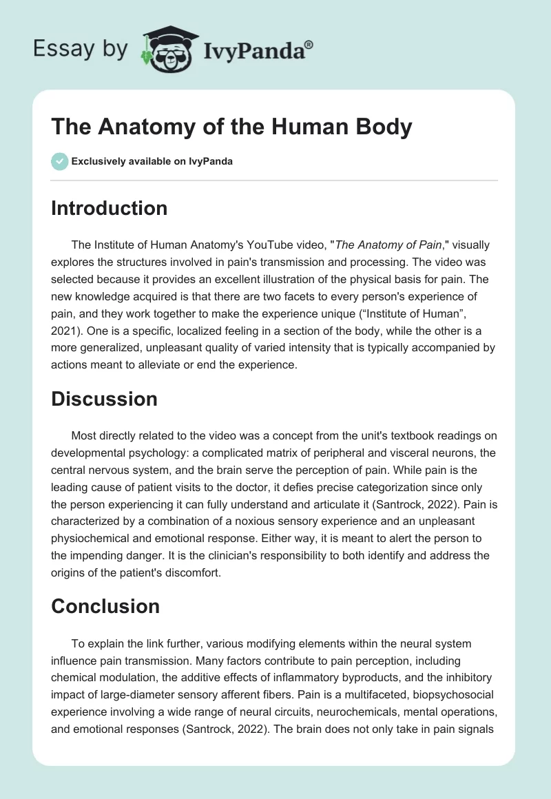 describe human body essay